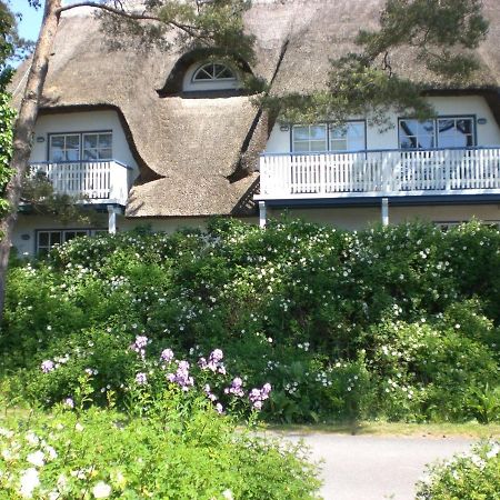 Ferienwohnung Achtern - Diek - am Strand Ostseeheilbad Ostseeheilbad Zingst Exterior foto