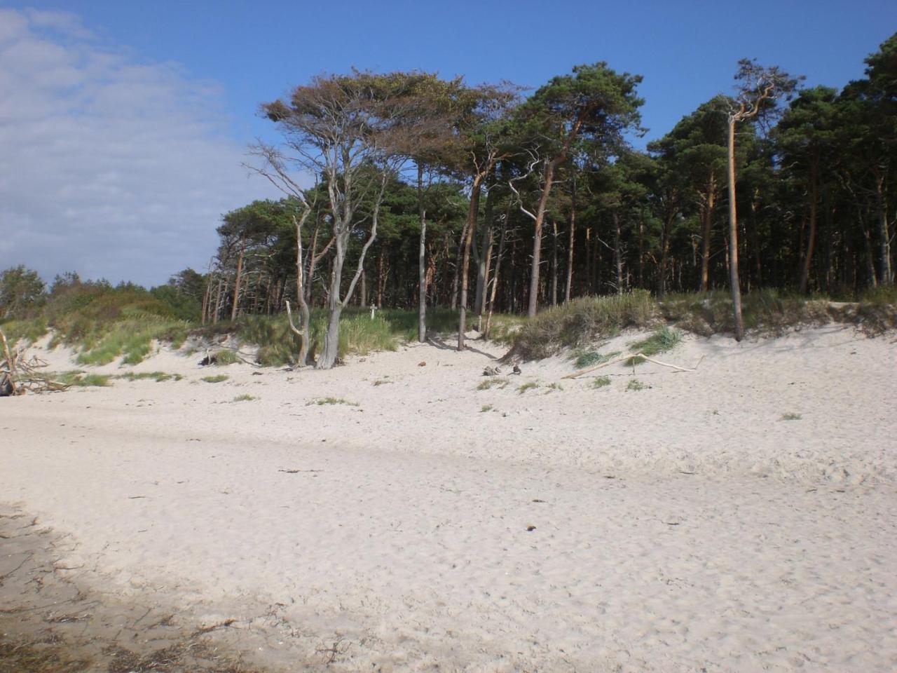 Achtern - Diek - am Strand Ostseeheilbad Ostseeheilbad Zingst Exterior foto