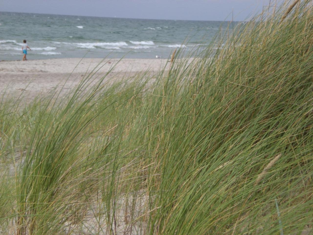 Ferienwohnung Achtern - Diek - am Strand Ostseeheilbad Ostseeheilbad Zingst Exterior foto