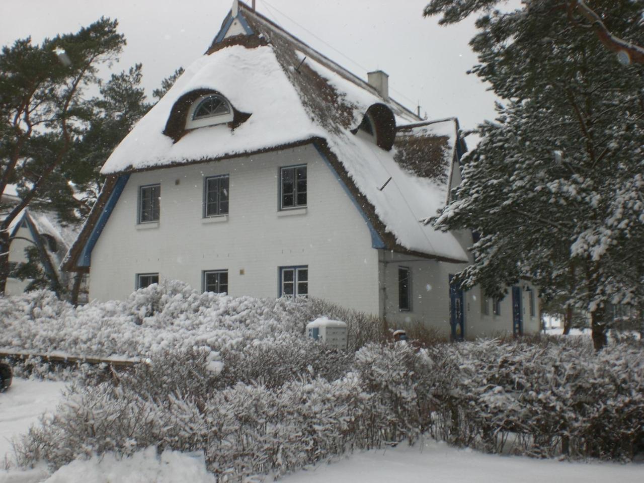 Achtern - Diek - am Strand Ostseeheilbad Ostseeheilbad Zingst Exterior foto