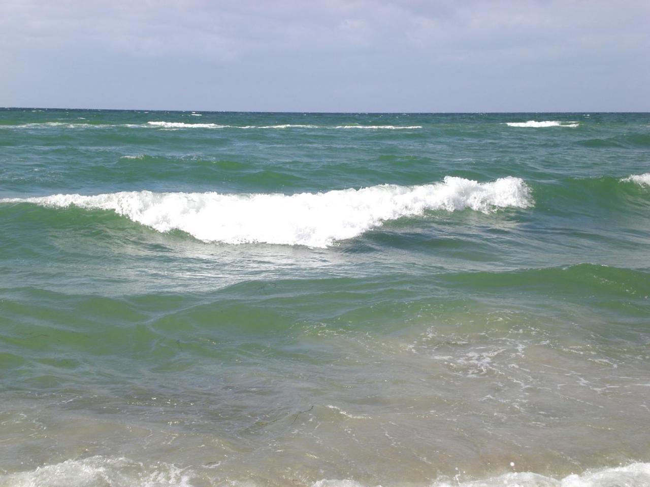 Achtern - Diek - am Strand Ostseeheilbad Ostseeheilbad Zingst Exterior foto