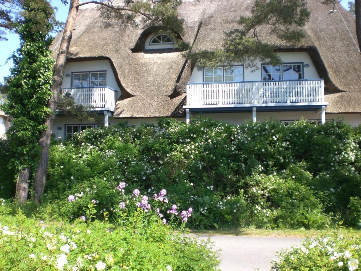 Ferienwohnung Achtern - Diek - am Strand Ostseeheilbad Ostseeheilbad Zingst Exterior foto