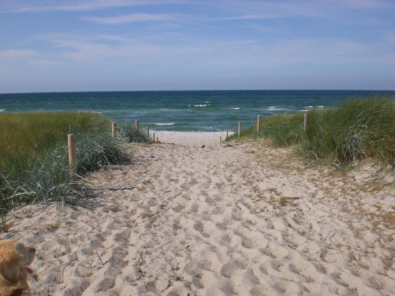 Achtern - Diek - am Strand Ostseeheilbad Ostseeheilbad Zingst Exterior foto